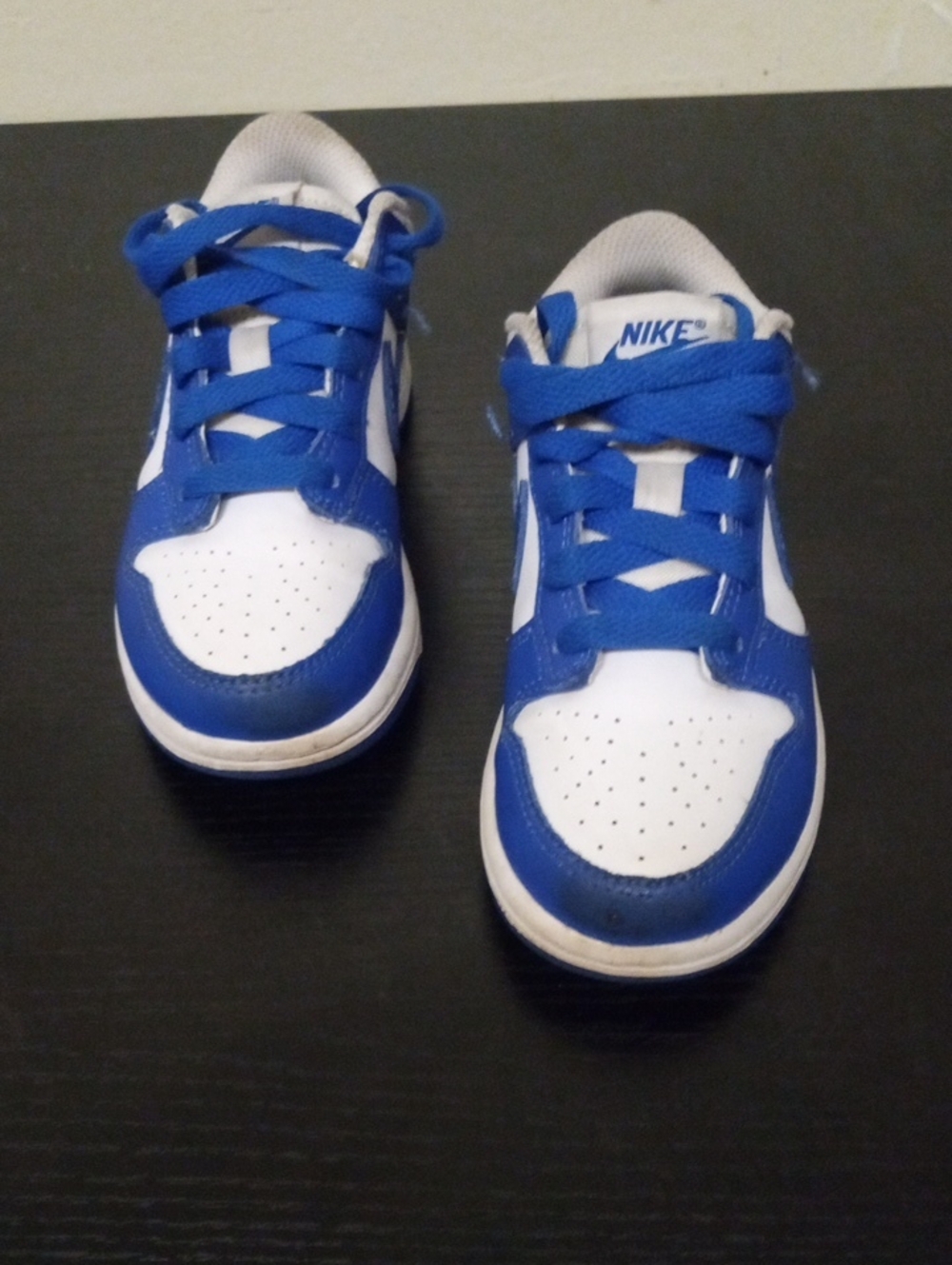 Nike Dunks Kiddos Unisex Size 12C